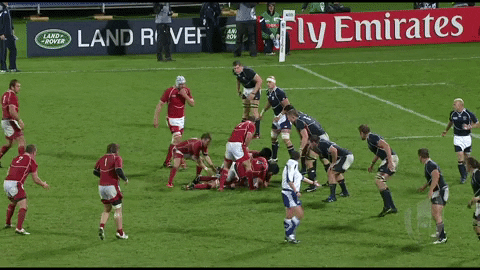 Angry World Rugby GIF by Rugby World Cup
