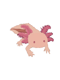 emmariedoodles axolotl emmariedoodles Sticker