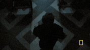 genius tv GIF by National Geographic Channel
