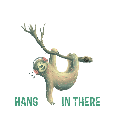 Teden_mladih giphyupload music chill sloth Sticker