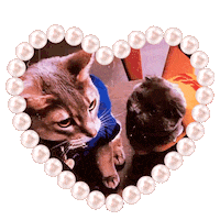 Iye Sticker