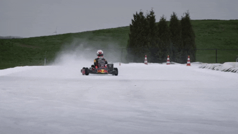 ver france GIF by Red Bull Racing