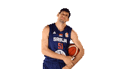 Game Basketball Sticker by FIBA