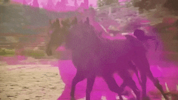 horse hors avey tare farmwave GIF