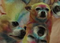 Judging You GIF by paoladlp