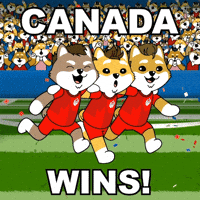Winning Fifa World Cup GIF by Dogelon Mars