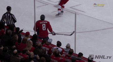 happy ice hockey GIF by NHL
