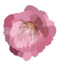 maschasiekkotter love pink rainbow nature Sticker