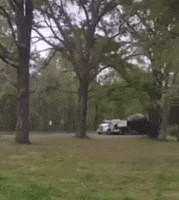 GIF by Martin