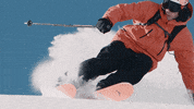 Glacier_3000 winter ski switzerland freeride GIF