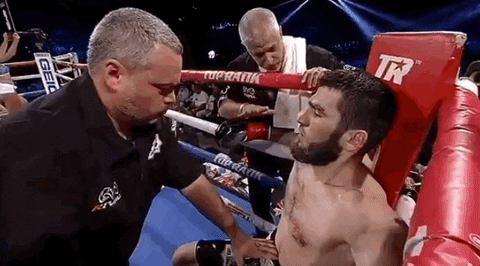 toprank giphyupload fight boxing fighting GIF