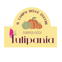 Pumpkin Patch Sticker by Tulipania