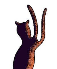 Cat Yes Sticker by Sacha Beeley