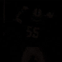 Miami Football Dancing GIF by Miami Dolphins