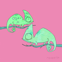 fox color GIF by Animation Domination High-Def