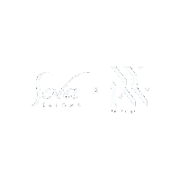 Sola Sticker by solasalons