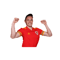 Wales National Team Football Sticker by FA Wales