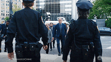 Season 1 Suit GIF by Law & Order