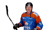 unisflyers goal eagles flyers nederland Sticker