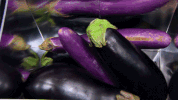 masterchef canada GIF by CTV