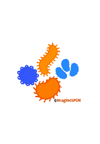 IMAGINE_SPOR blue orange imagine spor Sticker