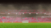 GIF by Swiss Football Association