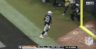 Oakland Raiders Football GIF by NFL