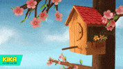 bird flowers GIF by KiKA
