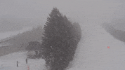 GIF by Blue Mountain Resort
