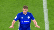 Football Calm Down GIF by FC Schalke 04