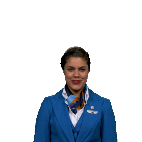 flying well done Sticker by KLM