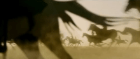 Bollywood Padmavati GIF