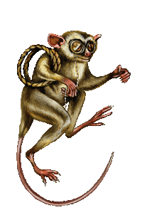 Chin Chin Drinking Sticker by Don Papa Rum