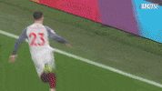 celebrate xherdan shaqiri GIF by Liverpool FC