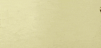InsectCop bug insect ladybug beetle GIF