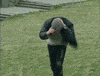 Wind Hurricane GIF by Team Coco