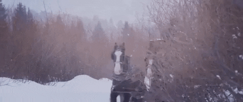 rhymesayers giphygifmaker snow winter western GIF