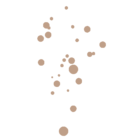 leituraseeu bolinhas marrom leituraseeu Sticker