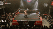 Wrestling Nacional GIF by CNL Chile