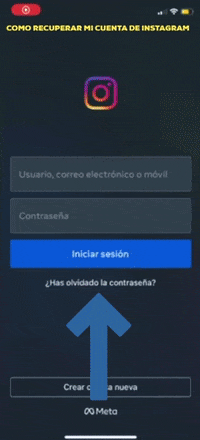 Instagram Recuperar GIF by iMorillas Marketing Online