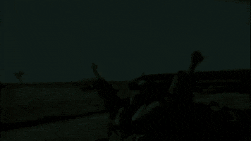 never say never almost doesnt count GIF by Brandy