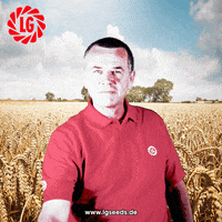 looking look into my eyes GIF