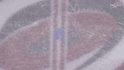 hockey nhl GIF by Carolina Hurricanes