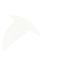 Bird Flying Sticker by Nightingale