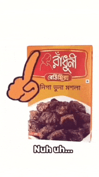 Bangladesh Radhuni GIF