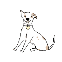 Dog Sticker by ELISABETTA FRANCHI