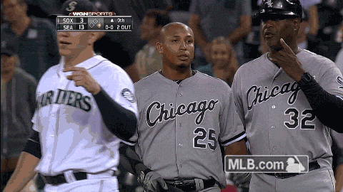 cws GIF by MLB