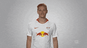 rb leipzig GIF by Bundesliga