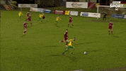 Celebration Goal GIF by Cliftonville Football Club
