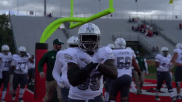 emufootball goeagles GIF by EMU Athletics